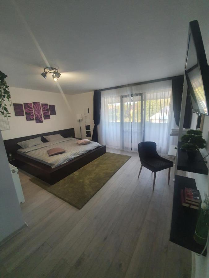 Pensiunea Relax Curtea de Argeş Exterior foto
