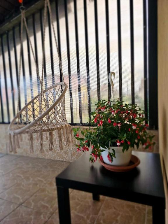 Pensiunea Relax Curtea de Argeş Exterior foto